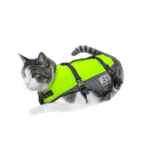 BestKatzenweste deluxe Yellow/black 7-10kg – Bild 2