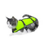 BestKatzenweste deluxe Yellow/black 3-7kg – Bild 2