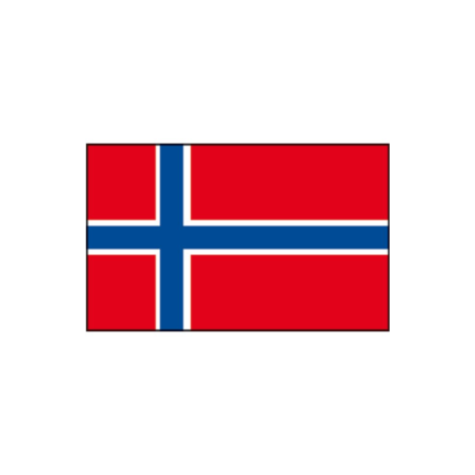 Flagge Norwegen diverse Größen