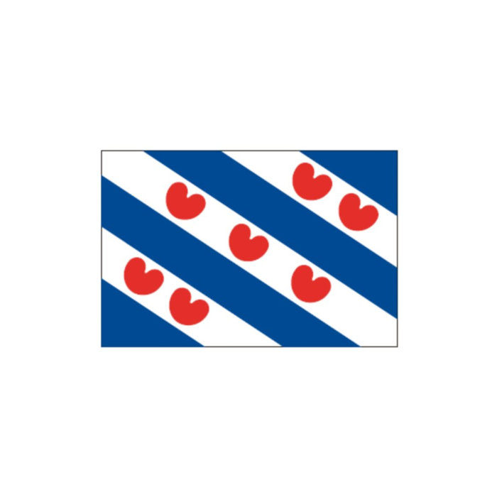 Flagge Friesland (NL) 20-200cm – Bild 1