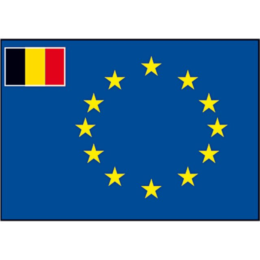 lhtc5350_60a7-post63779 Flagge SB Europarat/B 40x60cm – Bild 1