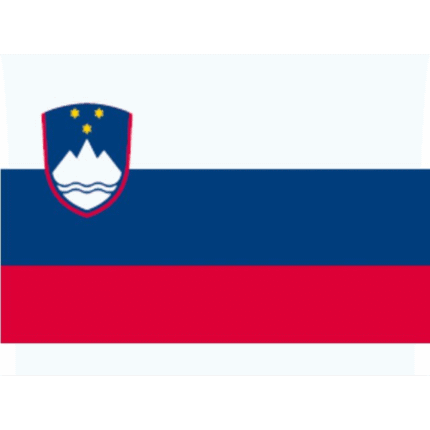 Flagge SB Slowenien 20x30cm