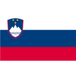 Flagge SB Slowenien 50x75cm