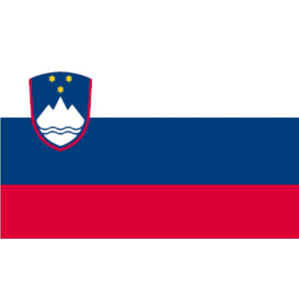 lhtc7515_d02a-post63903 Flagge SB Slowenien 50x75cm – Bild 1