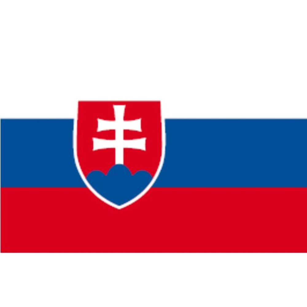 lhtc7518_da97-post63919 Flagge SB Slowakei 30x45cm – Bild 1