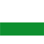 Flagge SB Sachsen 40x60cm