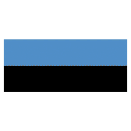 Flagge SB Estland 30x45cm