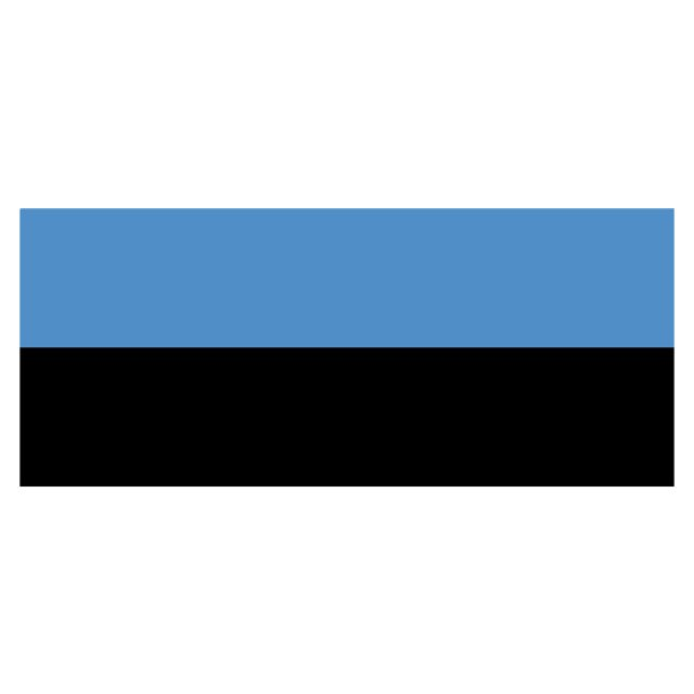 lhtc9874_49c7-post63937 Flagge SB Estland 30x45cm – Bild 1